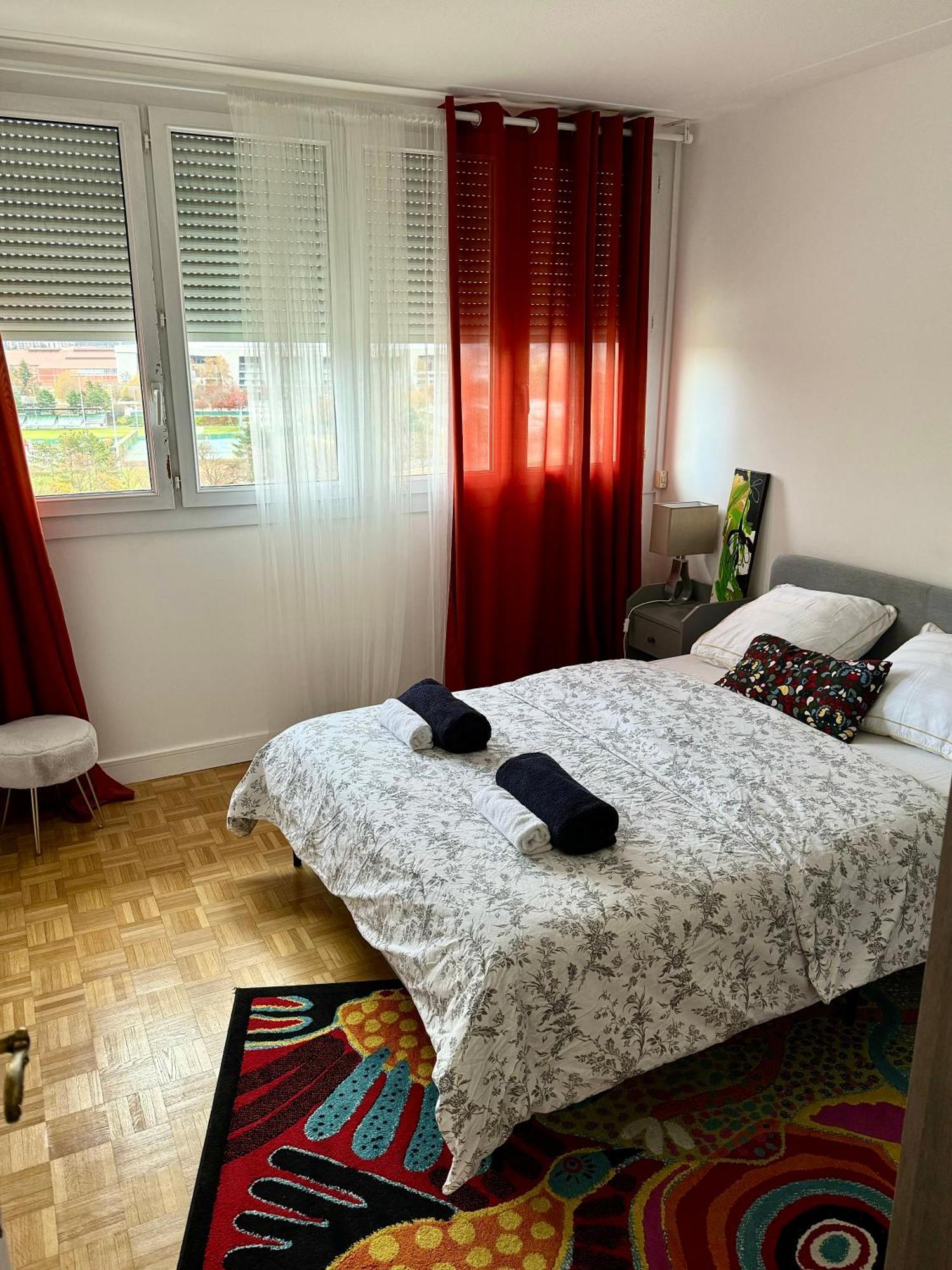 Bergson Top - Appart 80M2, 2 Grandes Chambres, Entierement Renovee Et Equipee, Lumineux, Wifi, Balcon, Calme, Vue Imprenable 생테티엔 외부 사진